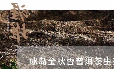 冰岛金秋香普洱茶生茶多少钱/2023052935259