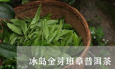 冰岛金芽班章普洱茶/2023112734938