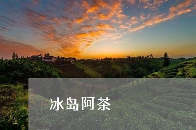 冰岛阿茶/2023121887349