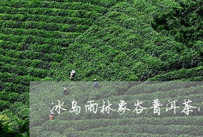 冰岛雨林象谷普洱茶小象/2023112870714