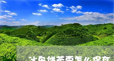 冰岛饼茶要怎么保存/2023042600816