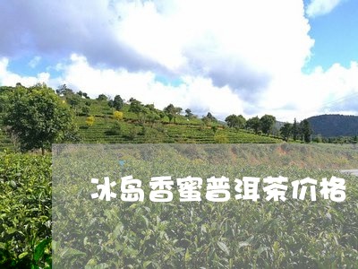 冰岛香蜜普洱茶价格/2023071170496