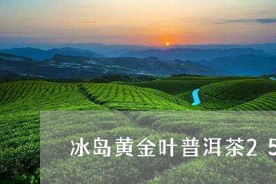 冰岛黄金叶普洱茶250g生茶/2023082882728