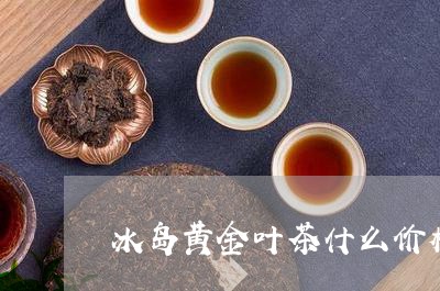 冰岛黄金叶茶什么价格/2023092304240