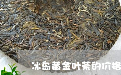 冰岛黄金叶茶的价格/2023042649302