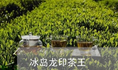 冰岛龙印茶王/2023090774706