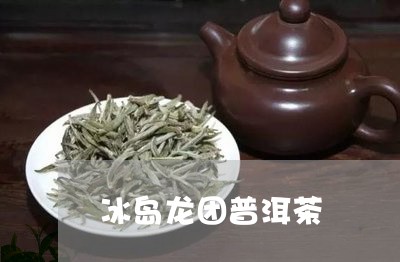 冰岛龙团普洱茶/2023082852826