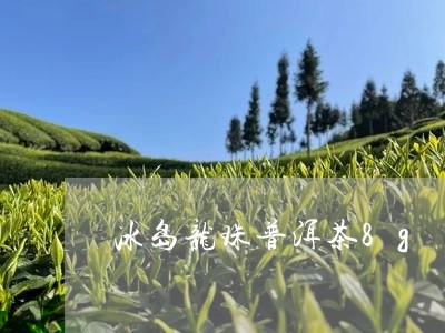 冰岛龙珠普洱茶8g/2023120530583