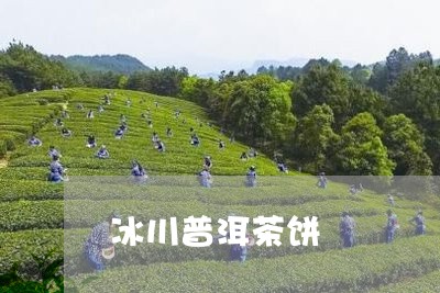 冰川普洱茶饼/2023042746037