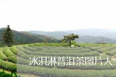 冰淇淋普洱茶图片大全大图/2023110531725