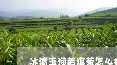 冰清玉润普洱茶怎么样/2023063037273