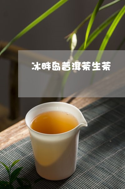 冰畔岛普洱茶生茶/2023120411717