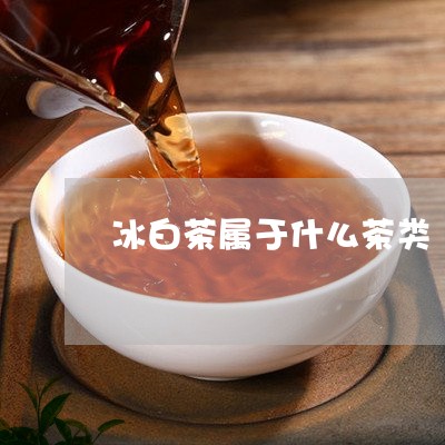冰白茶属于什么茶类/2023121774625