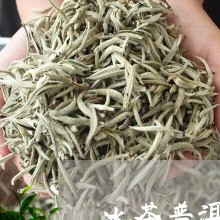 冰茶普洱茶饼能放多久/2023101718471