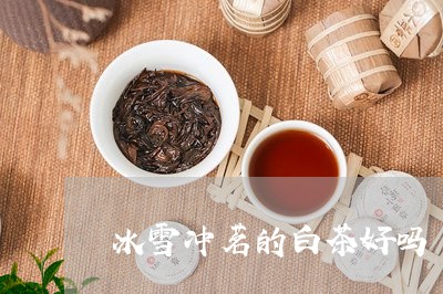 冰雪冲茗的白茶好吗/2023081268383