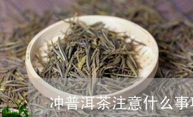 冲普洱茶注意什么事项饮食/2023121572584