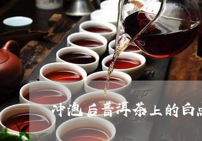 冲泡后普洱茶上的白点/2023062320793