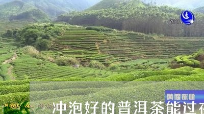 冲泡好的普洱茶能过夜/2023062313604