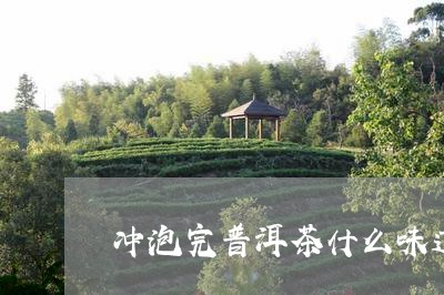 冲泡完普洱茶什么味道/2023080387282