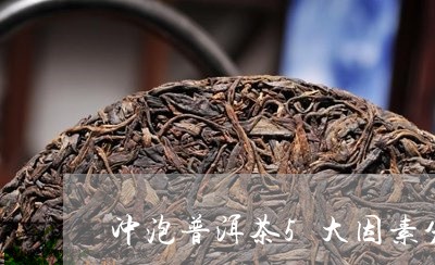 冲泡普洱茶5大因素分析/2023082525170