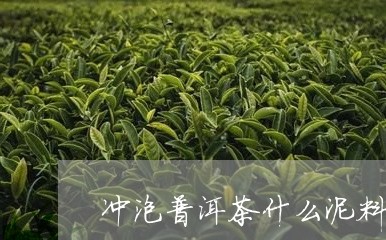 冲泡普洱茶什么泥料好些/2023082875258