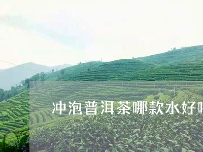 冲泡普洱茶哪款水好喝/2023121571736