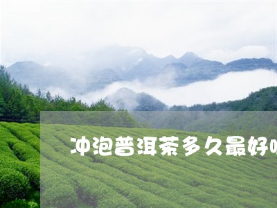 冲泡普洱茶多久最好呢/2023062992717