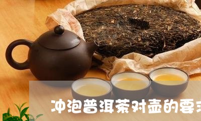 冲泡普洱茶对壶的要求/2023093062715