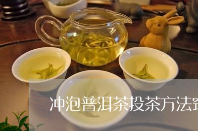 冲泡普洱茶投茶方法窍门/2023112783038