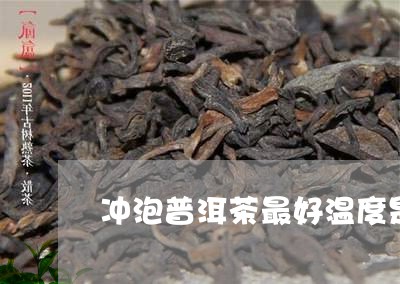 冲泡普洱茶最好温度是/2023062788262