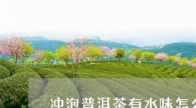 冲泡普洱茶有水味怎么回事/2023112497353