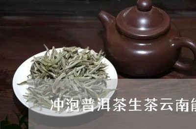 冲泡普洱茶生茶云南能种植吗/2023110462625