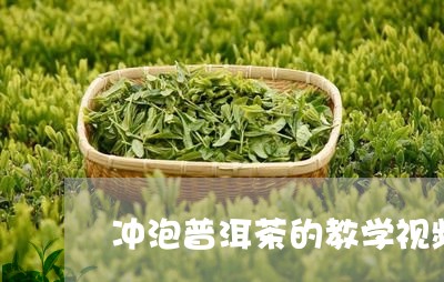 冲泡普洱茶的教学视频/2023080222605