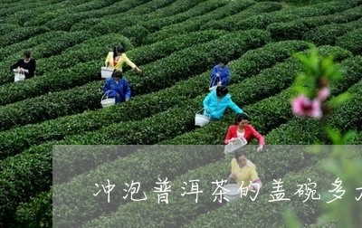 冲泡普洱茶的盖碗多大/2023080125372