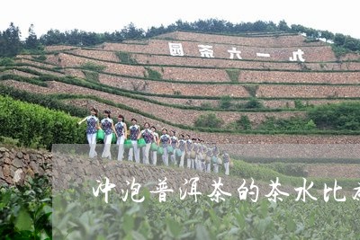 冲泡普洱茶的茶水比为/2023062528461