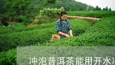 冲泡普洱茶能用开水冲吗/2023112766047