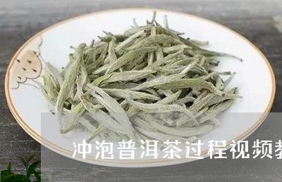 冲泡普洱茶过程视频教程/2023102459383