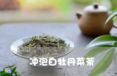 冲泡白牡丹菜茶/2023112337272