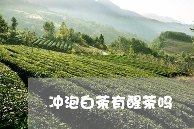 冲泡白茶有醒茶吗/2023061318561