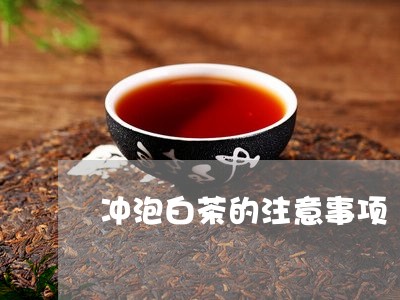 冲泡白茶的注意事项/2023081265152