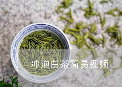 冲泡白茶简易视频/2023061312794