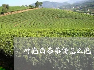 冲泡白茶茶饼怎么泡/2023081220613