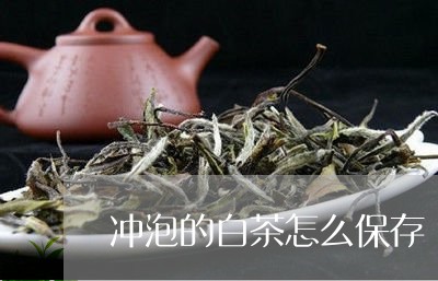 冲泡的白茶怎么保存/2023121719361