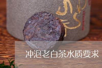 冲泡老白茶水质要求/2023071583725