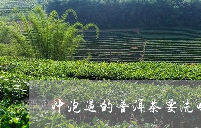 冲泡过的普洱茶要洗吗/2023092836281