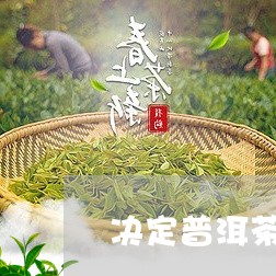 决定普洱茶价格因素/2023070846369