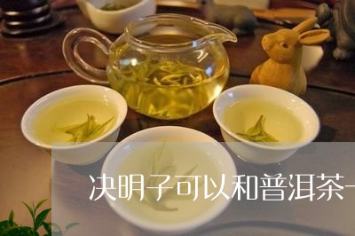 决明子可以和普洱茶一起泡吗/2023052741503