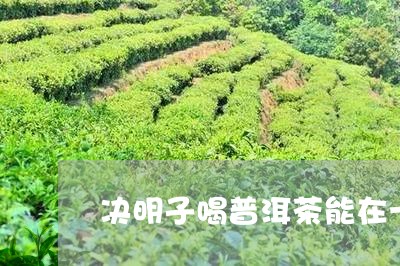 决明子喝普洱茶能在一起喝吗/2023052796062