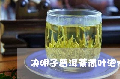 决明子普洱茶荷叶泡水/2023080134747