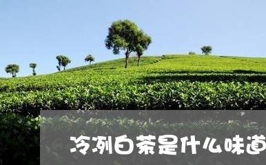 冷冽白茶是什么味道/2023071514947